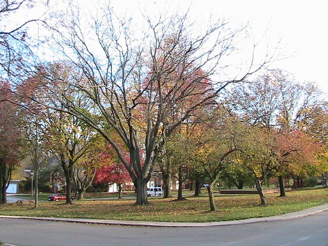 Gallery Photo 16